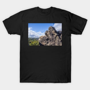 Devil's Wall, rocks, Blankenburg, Harz, Saxony-Anhalt, Germany T-Shirt